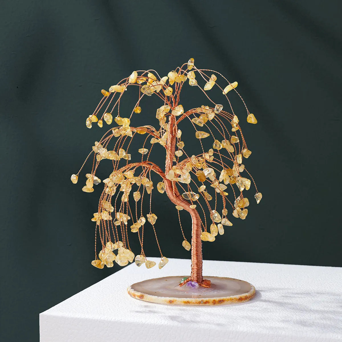 Prosperity Willow Tree