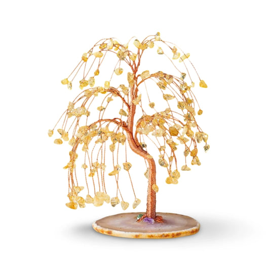 Prosperity Willow Tree