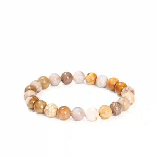 Coral Fossil Agate Bracelet