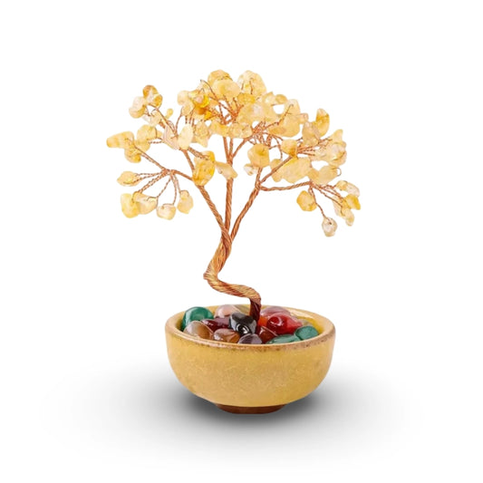 Cute Prosperity Bonzai