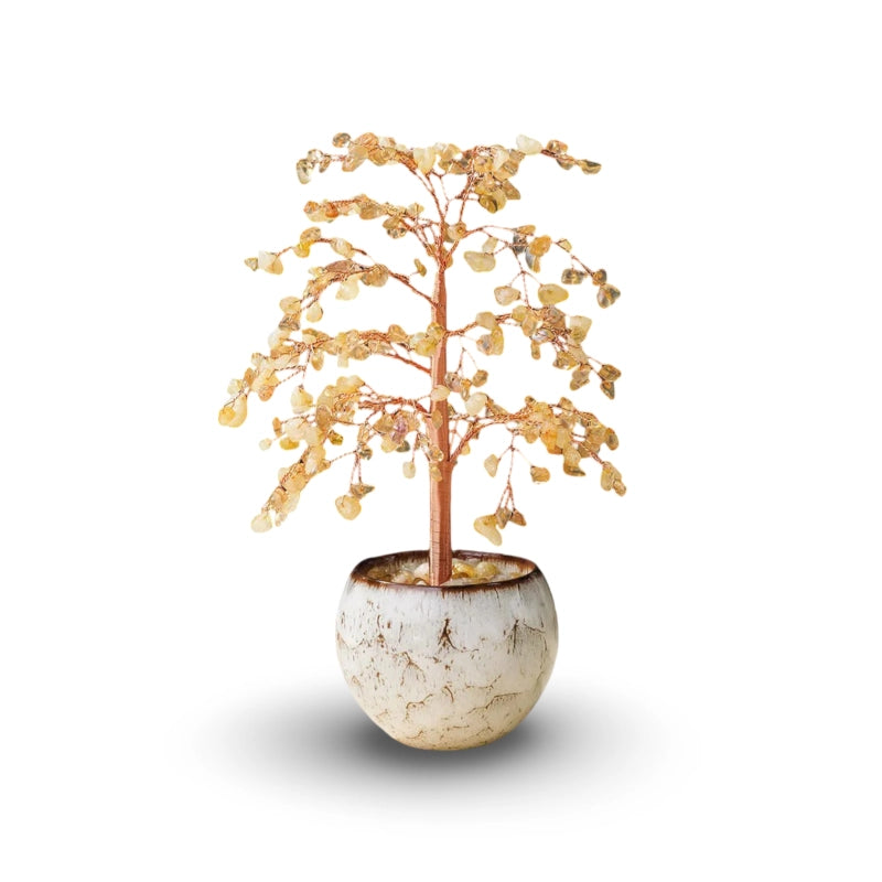 Prosperity Money Tree