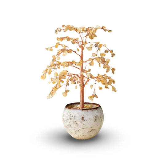 Prosperity Money Tree