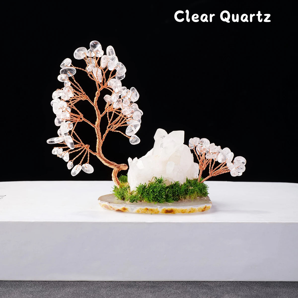 Mini Zen Garden