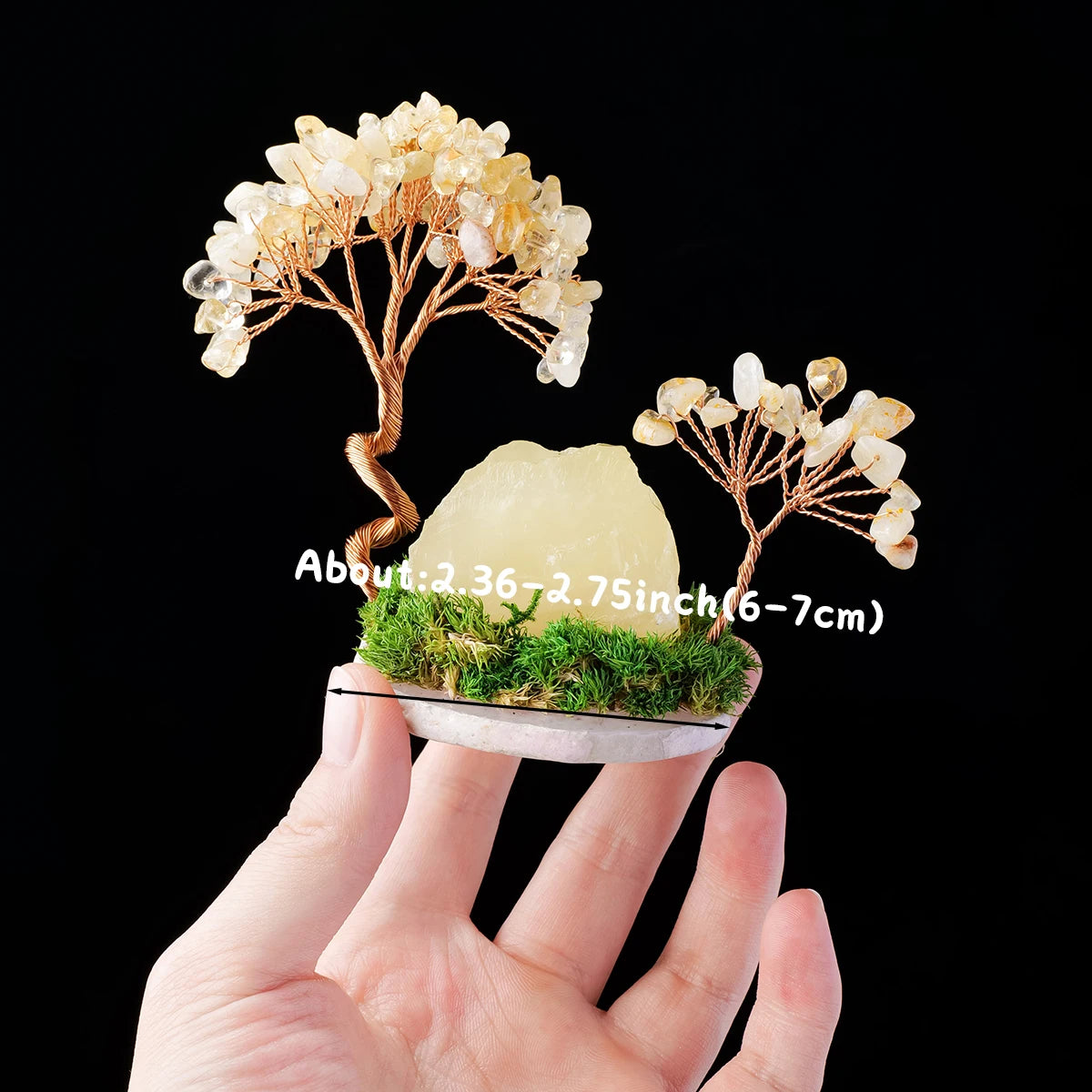 Mini Zen Garden