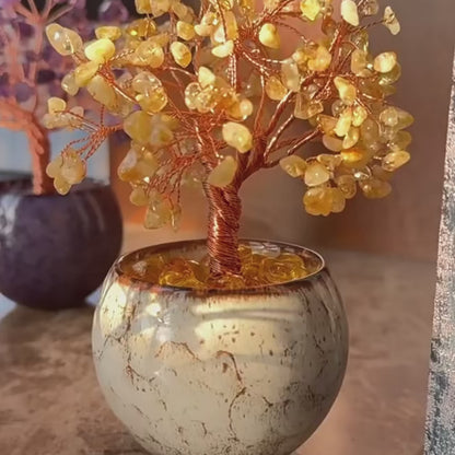 Spiritual Pot of Fortune